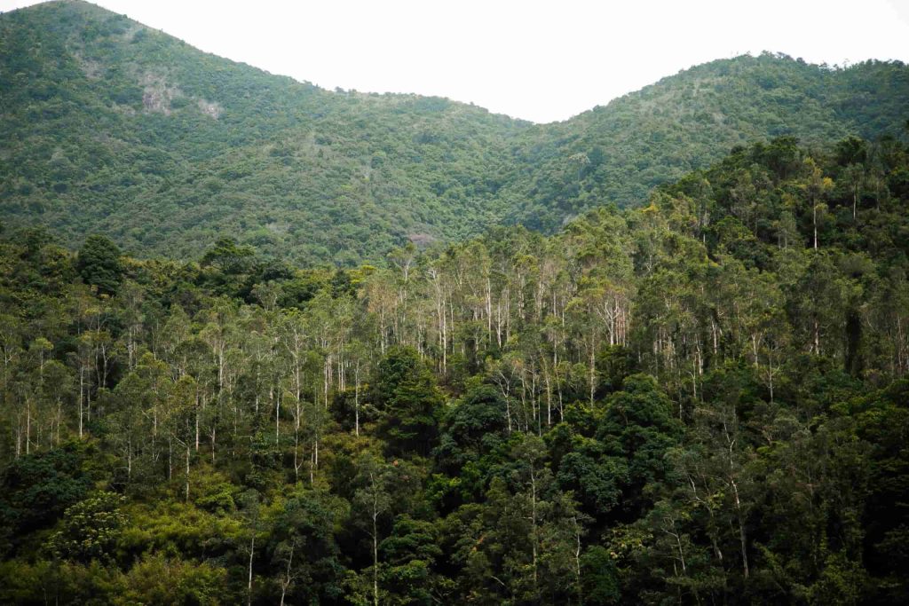 Hong Kong hiking trails to explore this season