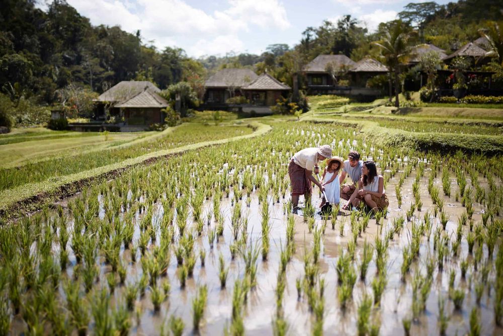 Reset and reconnect during the ‘Summer of Impact’ with Marriott International Luxury Brands